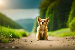 a dog sitting on the road in the middle of a field. AI-Generated photo