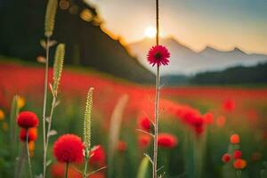 red flowers in a field at sunset. AI-Generated photo