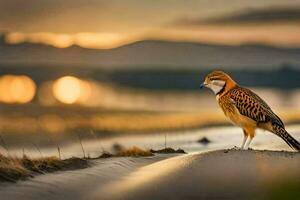 a bird is standing on the sand at sunset. AI-Generated photo