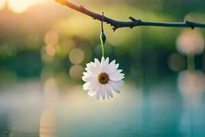 a single white flower hanging from a branch over water. AI-Generated photo