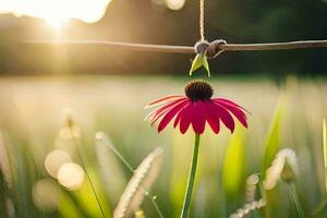 a single pink flower is hanging from a rope in a field. AI-Generated photo