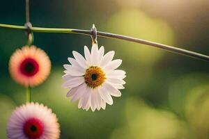 a daisy hanging from a wire with a sun in the background. AI-Generated photo