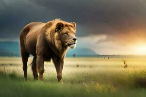 a lion is walking in the grass at sunset. AI-Generated photo