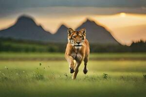 un león corriendo a través de un campo con montañas en el antecedentes. generado por ai foto