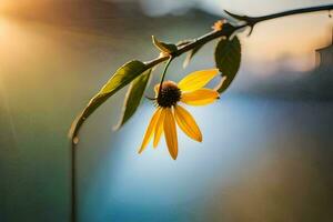 a yellow flower is seen in the sun. AI-Generated photo