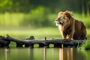 a lion is standing on a log in the water. AI-Generated photo