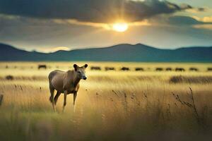 a horse in the middle of a field at sunset. AI-Generated photo