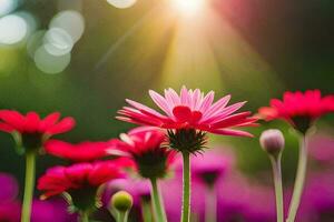 pink flowers in the sun with a blurry background. AI-Generated photo