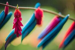 colorful feathers on a branch. AI-Generated photo