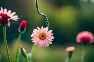 pink flowers are in the grass with a green background. AI-Generated photo