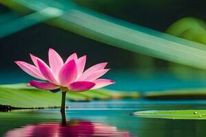 a pink lotus flower is floating in the water. AI-Generated photo
