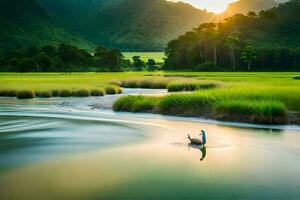 a duck is swimming in a river at sunset. AI-Generated photo