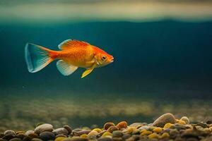 a goldfish swimming in an aquarium. AI-Generated photo