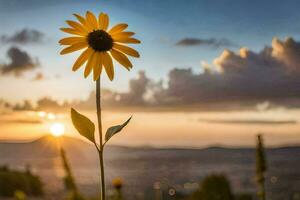 un soltero girasol soportes en frente de un puesta de sol. generado por ai foto