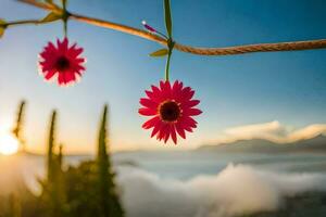 two pink flowers are hanging from a wire. AI-Generated photo