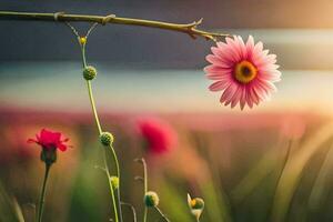 pink flowers in the field with the sun setting. AI-Generated photo