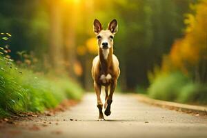 a dog running down a path in the sun. AI-Generated photo