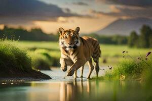 a tiger walking across a river at sunset. AI-Generated photo