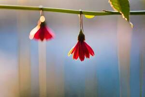 dos rojo flores colgando desde un rama. generado por ai foto