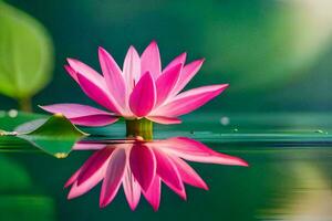 pink lotus flower in water with green leaves. AI-Generated photo