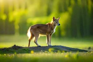 a red fox stands on a rock in the middle of a field. AI-Generated photo