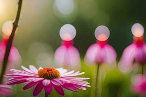 pink flowers in the sun with blurry background. AI-Generated photo