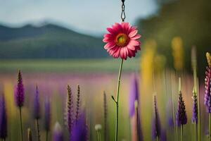 un rosado flor es en pie en un campo de púrpura flores generado por ai foto