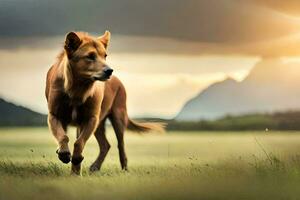 a dog running in the grass at sunset. AI-Generated photo