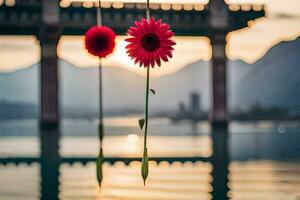 two red flowers hanging from a bridge over water. AI-Generated photo