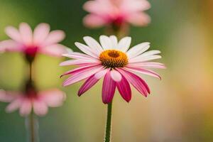 pink and white flowers in front of a blurred background. AI-Generated photo