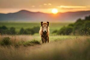 a horse walking through a field at sunset. AI-Generated photo