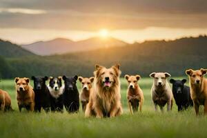 un grupo de perros en pie en un campo. generado por ai foto