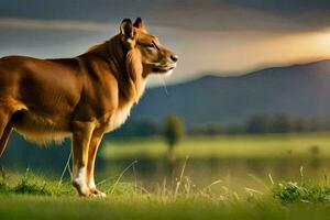 un león en pie en el césped con un lago en el antecedentes. generado por ai foto