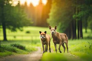 dos perros caminando abajo un camino en el bosque. generado por ai foto