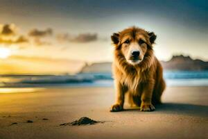 a dog sitting on the beach at sunset. AI-Generated photo