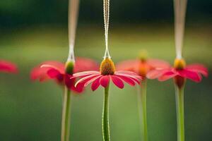 a group of red flowers with a necklace hanging from them. AI-Generated photo