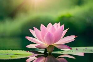 lotus flower in water with green leaves. AI-Generated photo