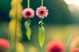 two pink flowers hanging from a string in a field. AI-Generated photo