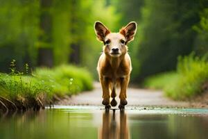 un pequeño ciervo es caminando mediante un charco. generado por ai foto