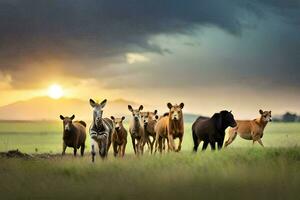 un manada de caballos corriendo en el puesta de sol. generado por ai foto