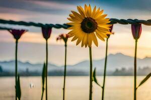 sunflower on a wire fence. AI-Generated photo