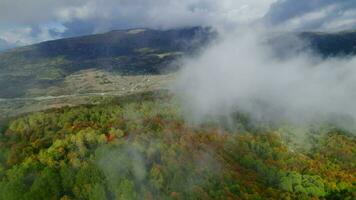 aérien panoramique vue à le l'automne forêt dans le montagnes avec des nuages sur il video