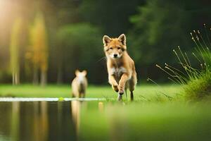 dos perros corriendo a través de un estanque en el bosque. generado por ai foto