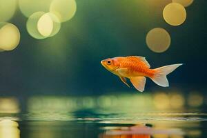 goldfish swimming in the water. AI-Generated photo