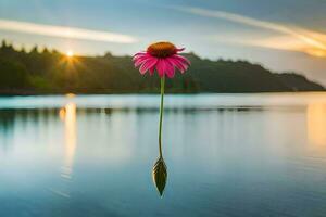 a pink flower floating in the water at sunset. AI-Generated photo
