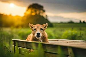 un perro sentado en un de madera banco en un campo. generado por ai foto