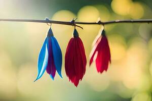 Tres rojo y azul plumas colgando desde un rama. generado por ai foto
