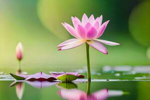 a pink lotus flower is floating in the water. AI-Generated photo