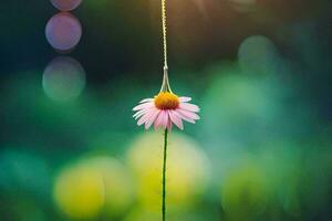 a single pink flower hanging from a string. AI-Generated photo