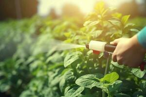 Spraying pesticide onto potato sun light. Generate AI photo